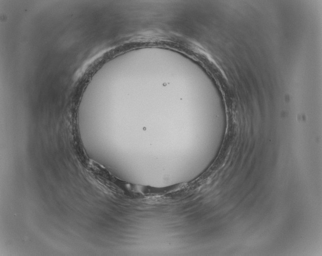 X0000077321304200611171732