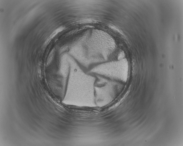 X0000077321305200611171732