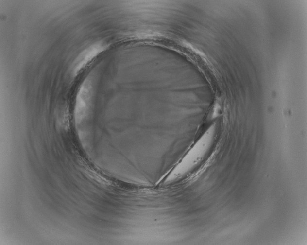 X0000077321306200611171732