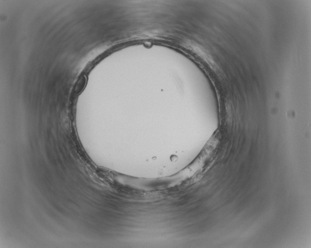 X0000077321308200611171732