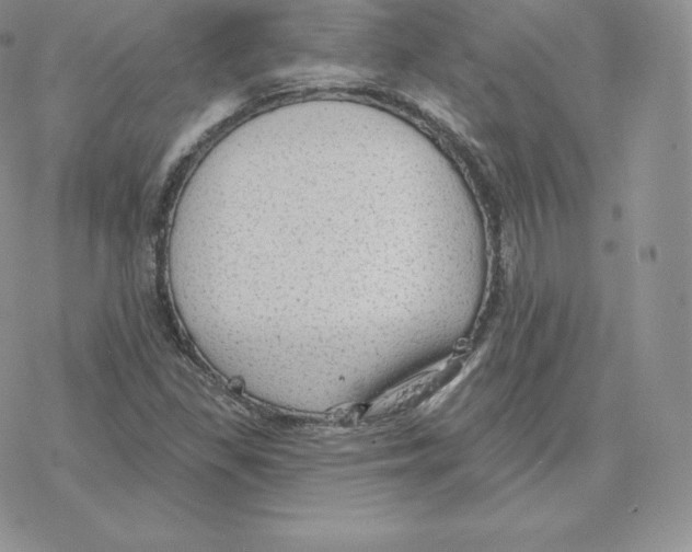 X0000077321309200611171732