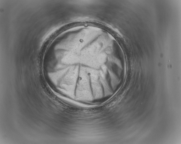 X0000077321311200611171732