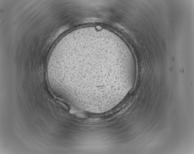 X0000077321313200611171732