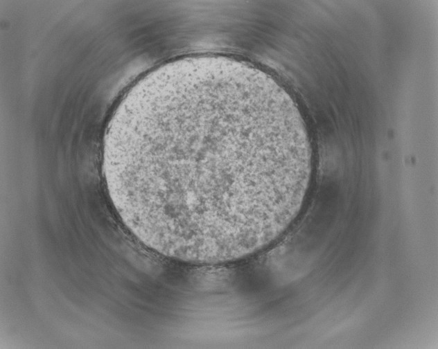 X0000077321314200611171732