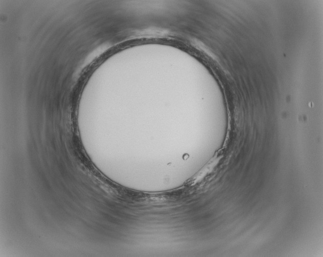 X0000077321315200611171732