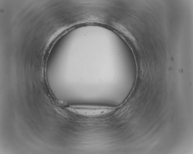 X0000077321316200611171732