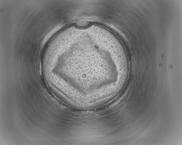 X0000077321317200611171732