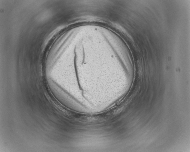 X0000077321318200611171732