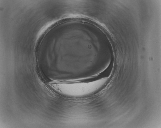 X0000077321319200611171732