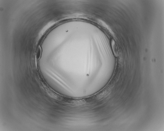 X0000077321320200611171732