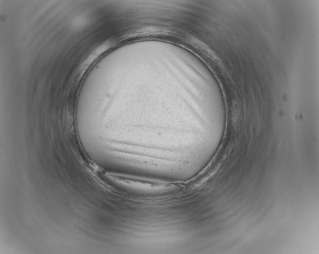 X0000077321321200611171732