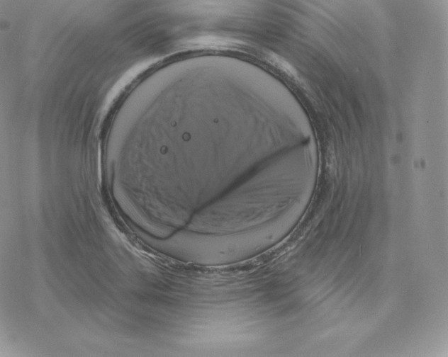 X0000077321323200611171733