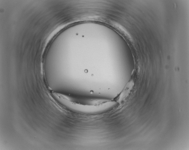 X0000077321324200611171733