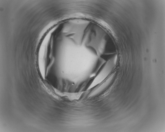 X0000077321326200611171733