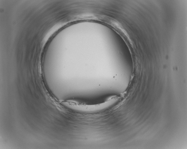 X0000077321328200611171733