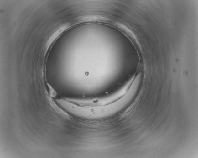 X0000077321330200611171733