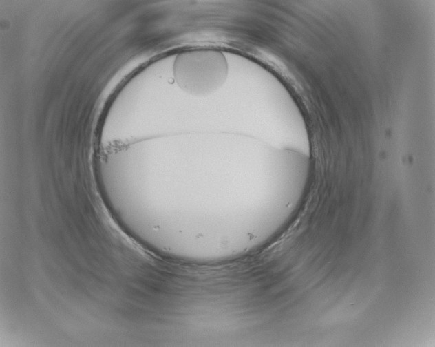 X0000077321331200611171733