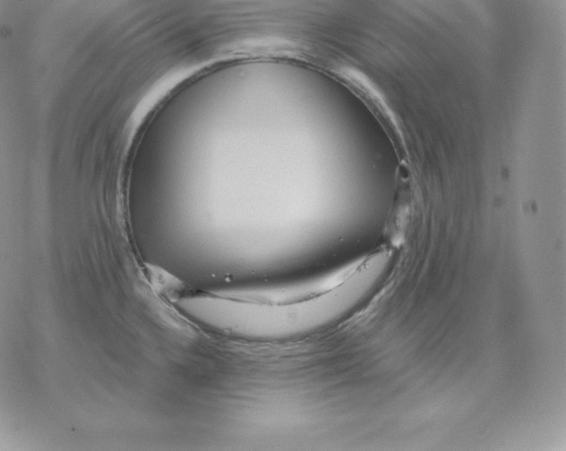 X0000077321336200611171733