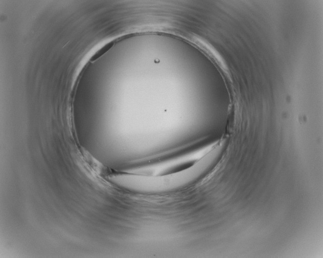 X0000077321340200611171733