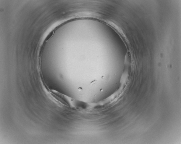 X0000077321342200611171733