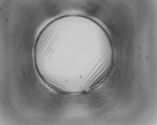 X0000077321343200611171733