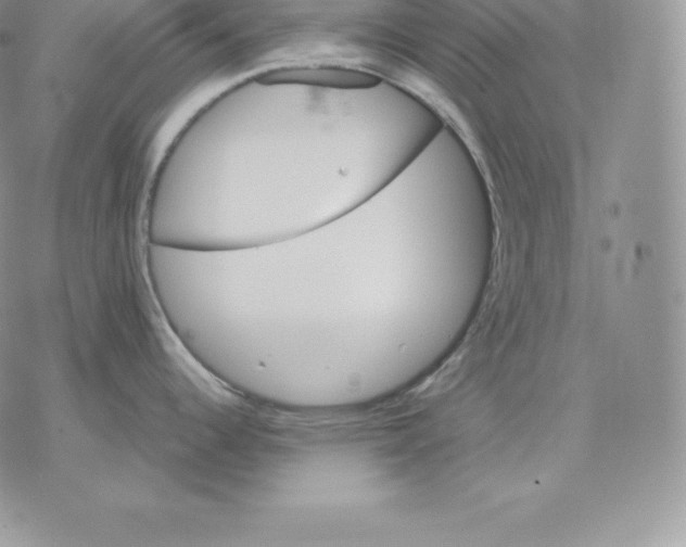 X0000077321344200611171733