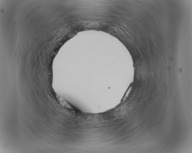 X0000077321345200611171732