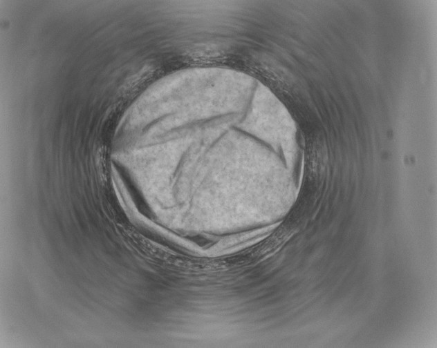 X0000077321346200611171732