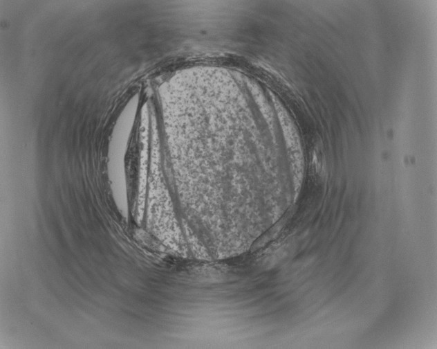 X0000077321348200611171732