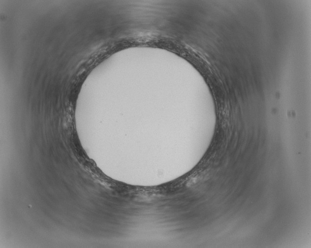 X0000077321349200611171732