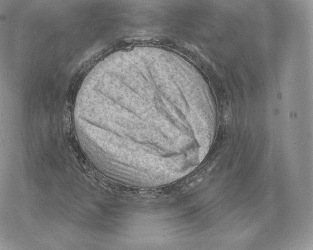 X0000077321350200611171732