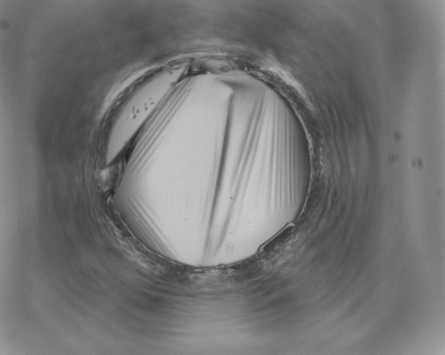 X0000077321352200611171732