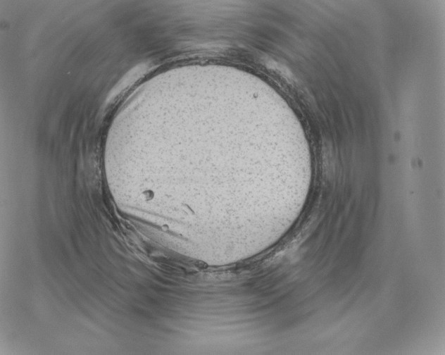 X0000077321354200611171732