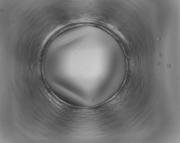 X0000077321356200611171732