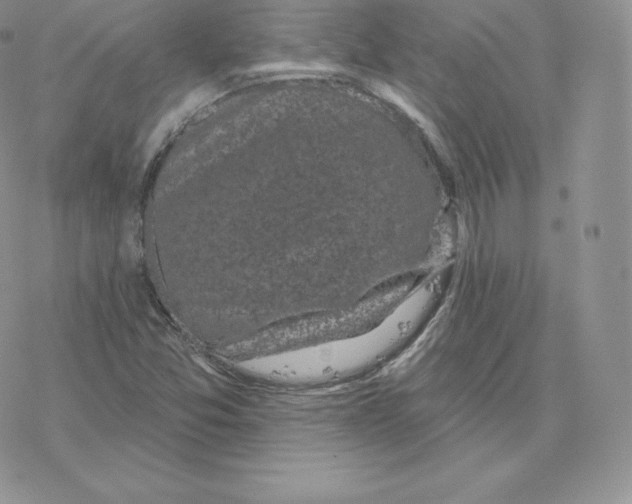 X0000077321357200611171732