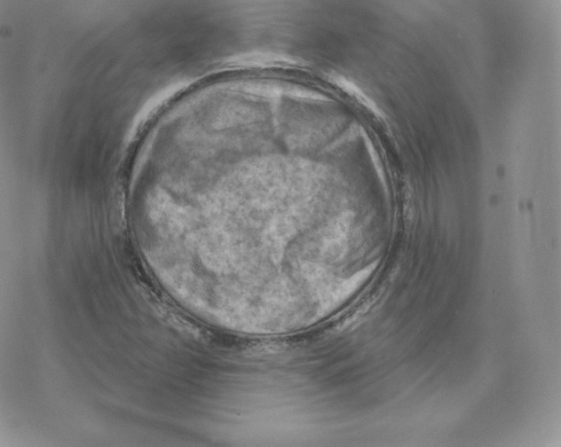 X0000077321358200611171732