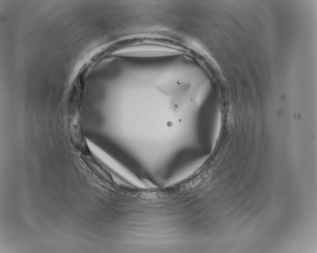 X0000077321360200611171732