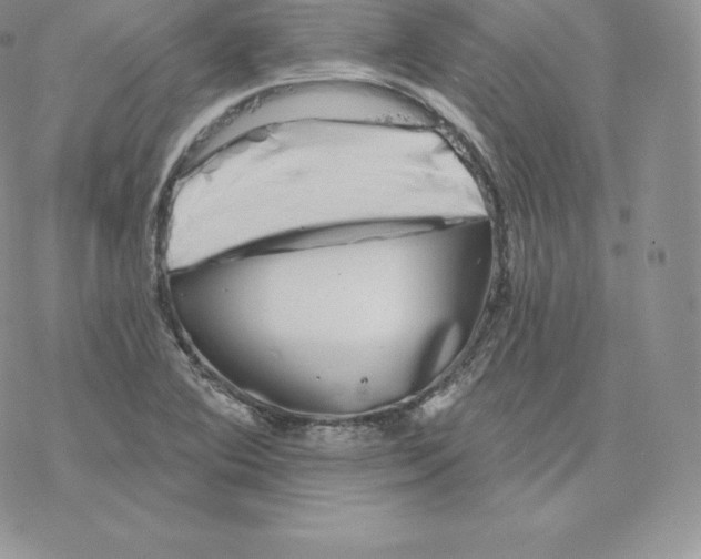 X0000077321364200611171732