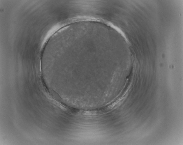 X0000077321365200611171732