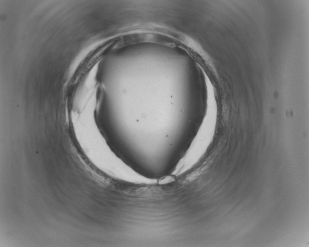 X0000077321368200611171732