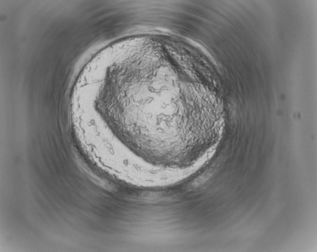 X0000077321371200611171732