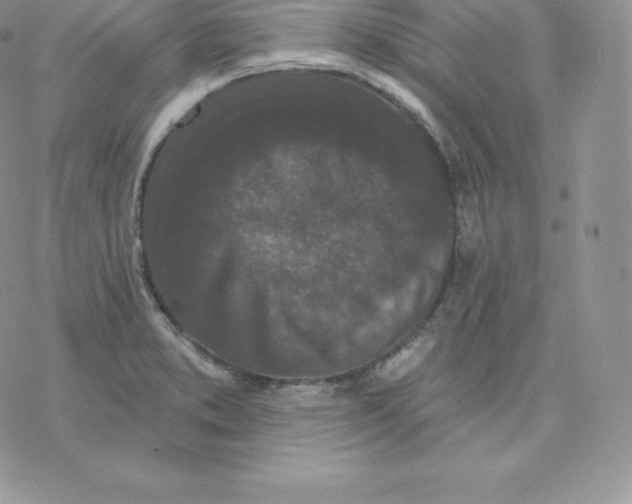 X0000077321373200611171732