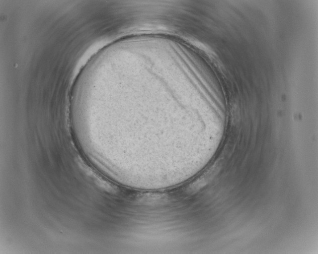 X0000077321374200611171732