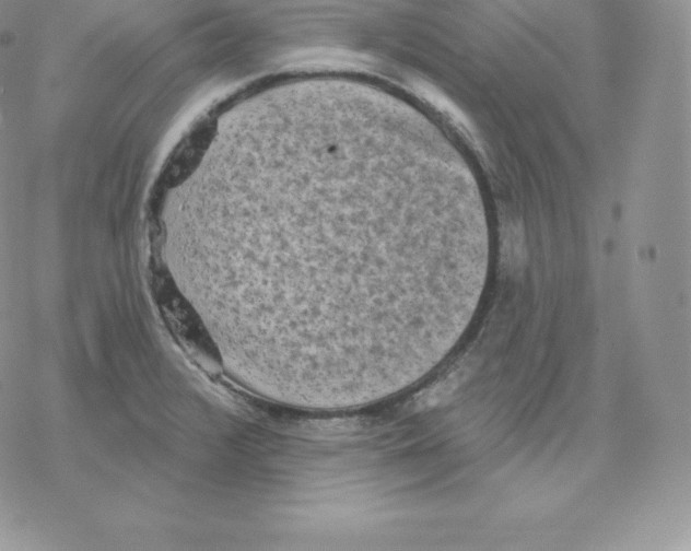 X0000077321376200611171732