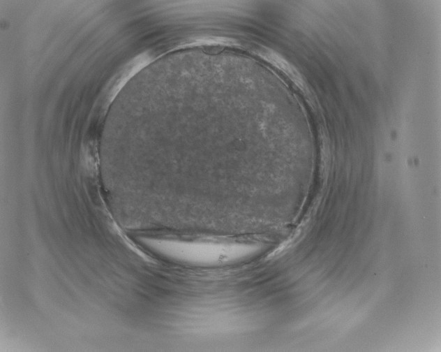 X0000077321377200611171732