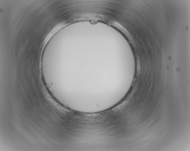 X0000077321378200611171732