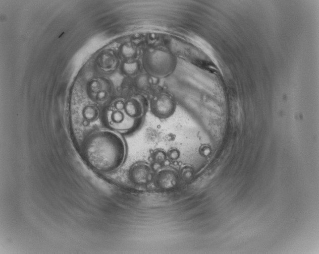 X0000077321379200611171732