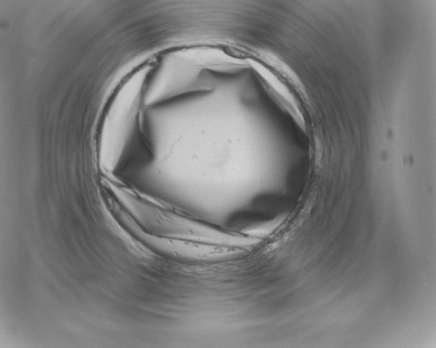 X0000077321380200611171732