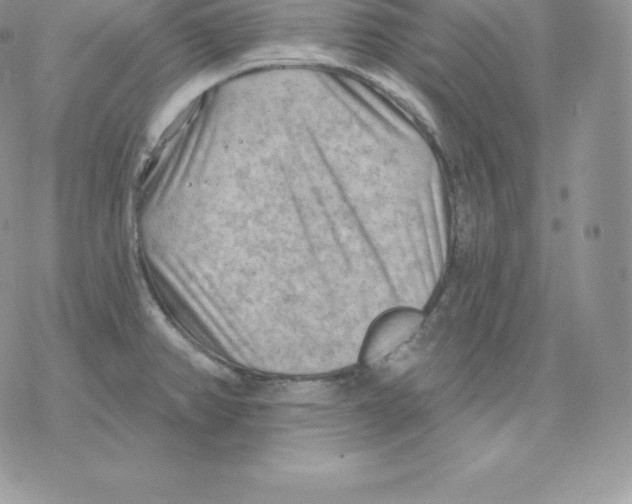 X0000077321382200611171731