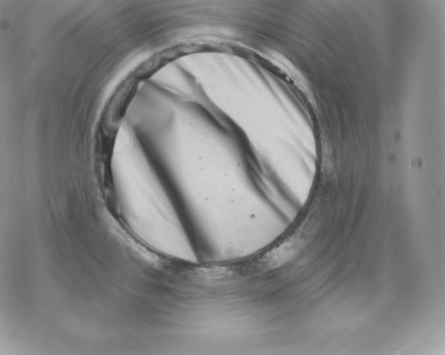 X0000077321384200611171731